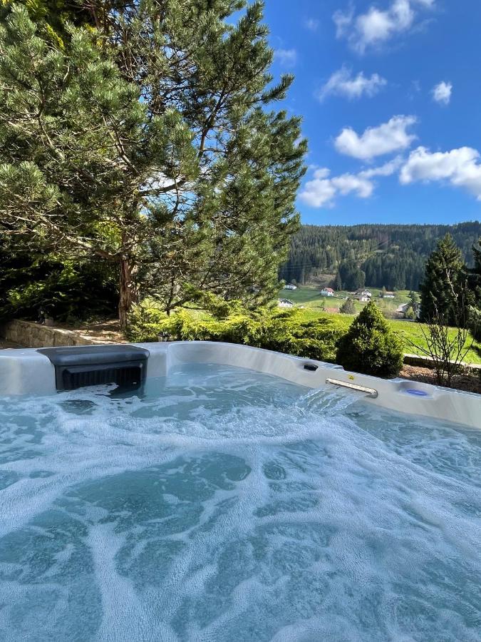 Villa La Charbonniere, Grand Gite Haut-De-Gamme Avec Jacuzzi Et Sauna Gérardmer Exterior foto